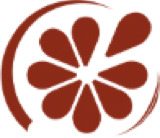 Avanty Services logo