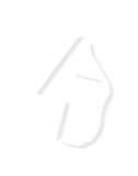 Thunderegg Accounting logo