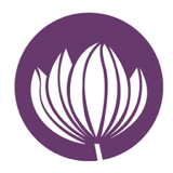 Tulip Accounting logo